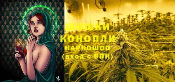 стафф Абинск