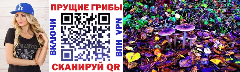 Галлюциногенные грибы Psilocybine cubensis Южноуральск